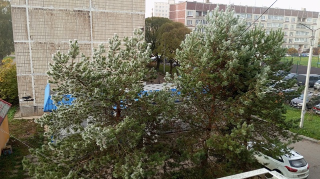 После тумана, который длился два дня, такая красота❤❤?...