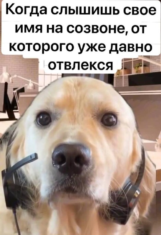 Учёные выяснили, что после 44-й минуты созвона можно смело выходить, чтобы не выгореть.
В исследов
