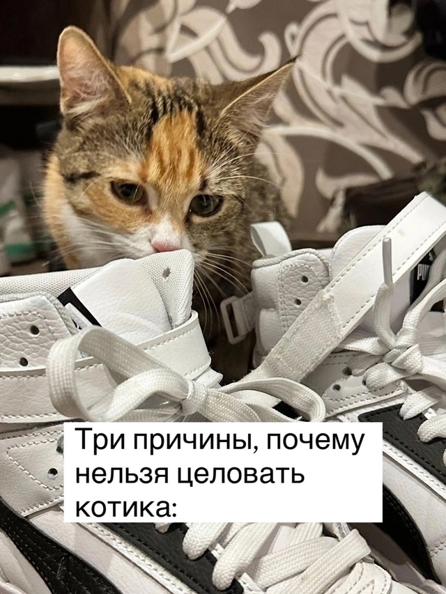 =»»