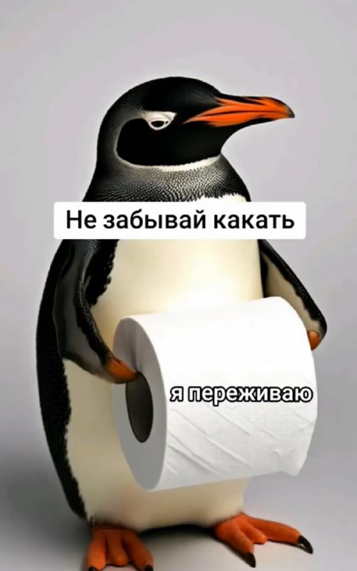 Ты знаешь, кому это отправить