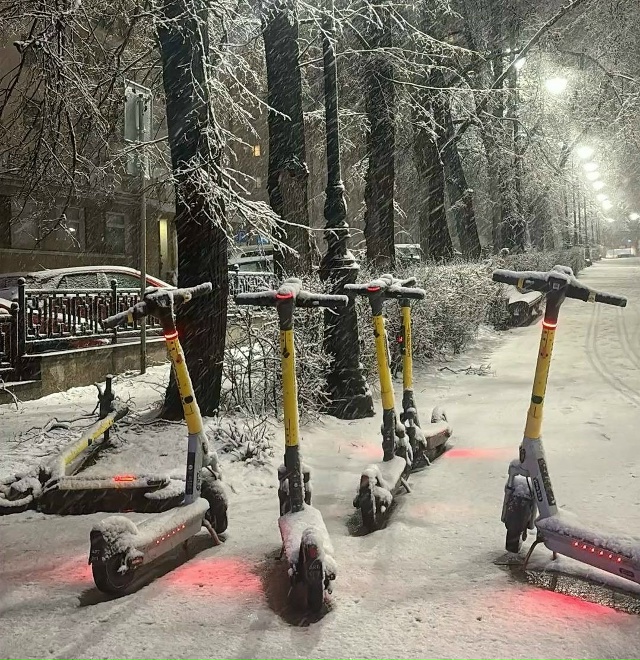 Больше не будут носиться и кошмарить прохожих: сезон а?...