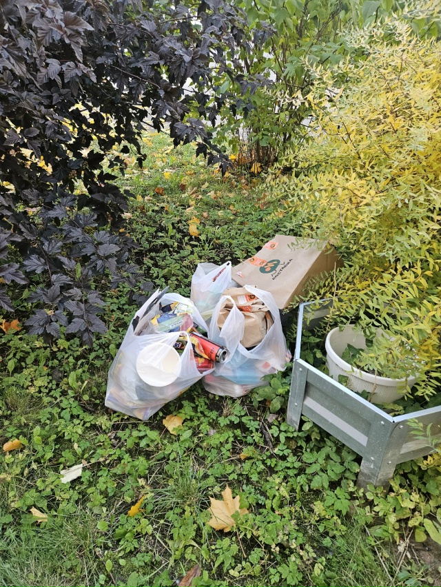 Кто-то потерял свой мусор на Верхней 3 к2 в ночь с суббот...