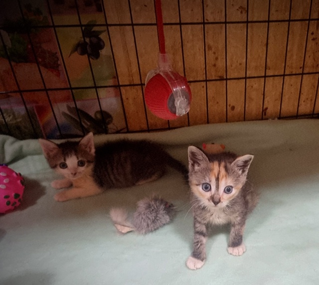 Добрый вечер!