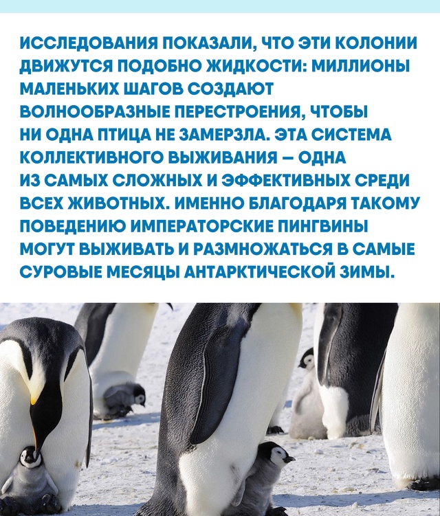 Массовое сотрудничество порой спасает сильнее суперс?...