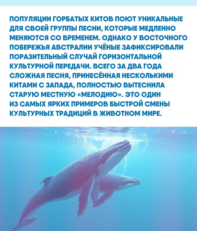 Океан скрывает не просто формы жизни, а целые цивилиза?...