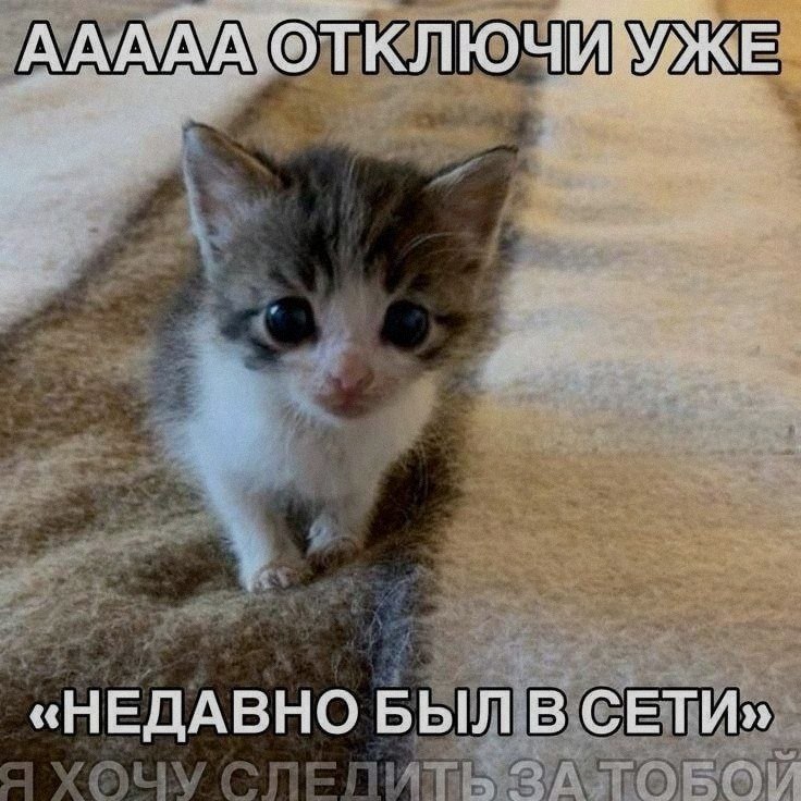 Ночная подборочка
Спать, режим