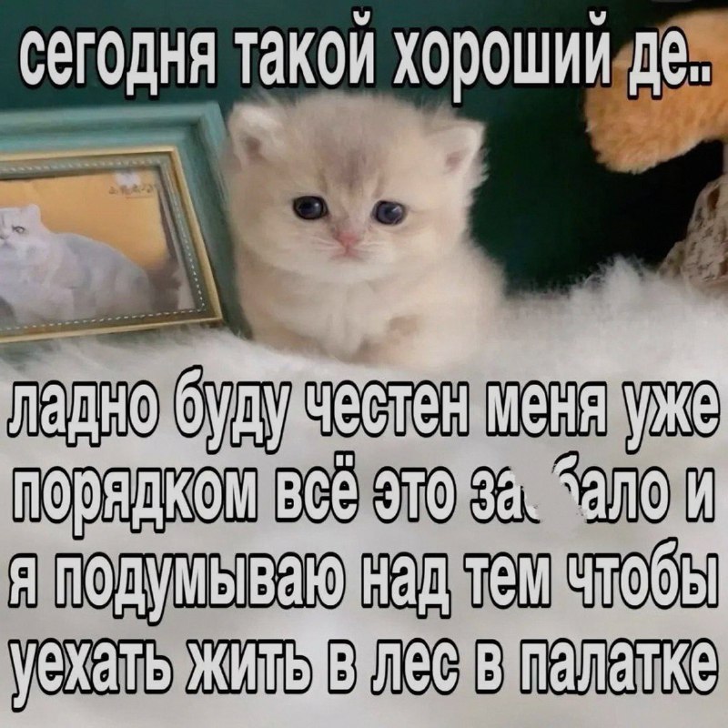 Ночная подборочка
Спать, режим