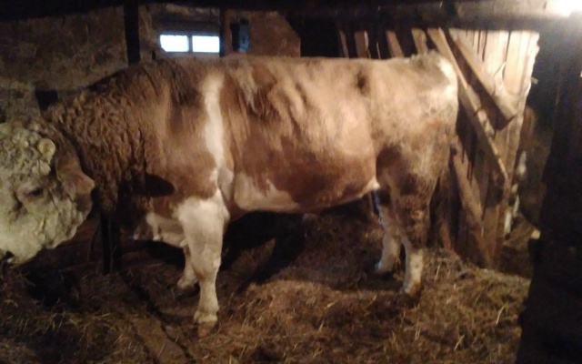 Продам.89619024367