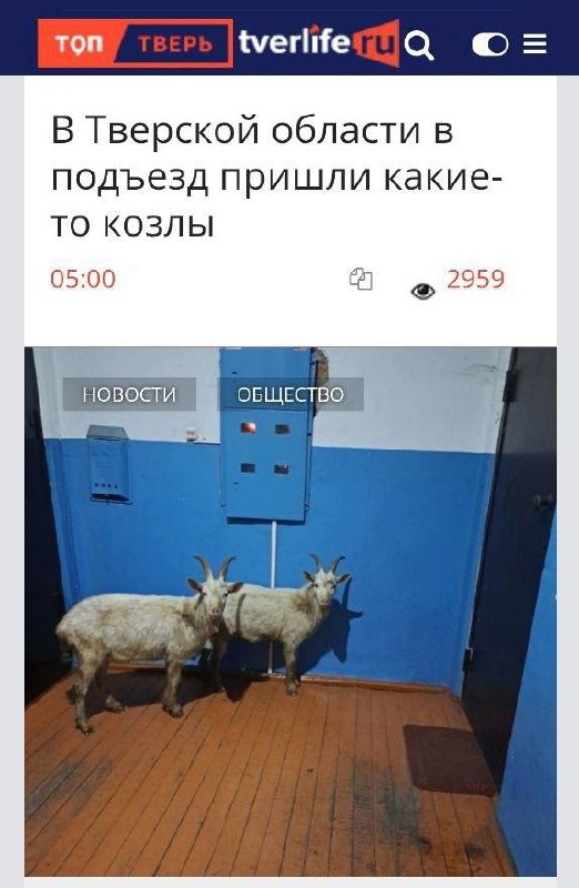 Срочные новости из Тверской области.