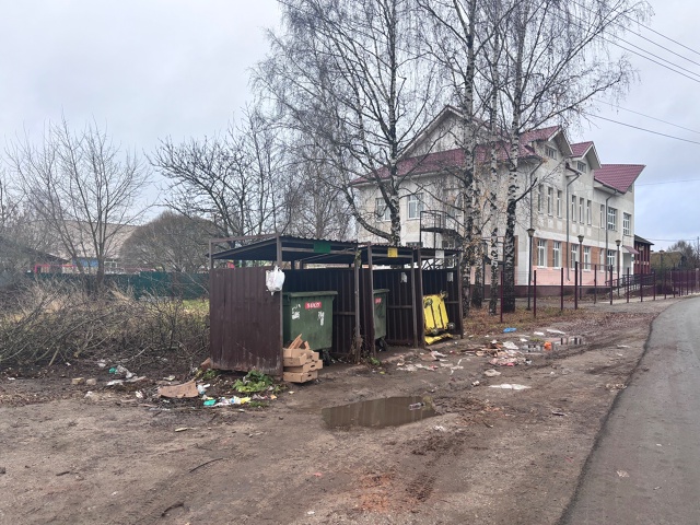 Спиленные ветки, коробки и прочий мусор. Причем контей?...