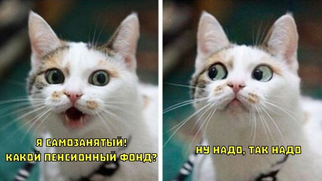 🏛 В Совете Федерации предложили автоматически удержи...
