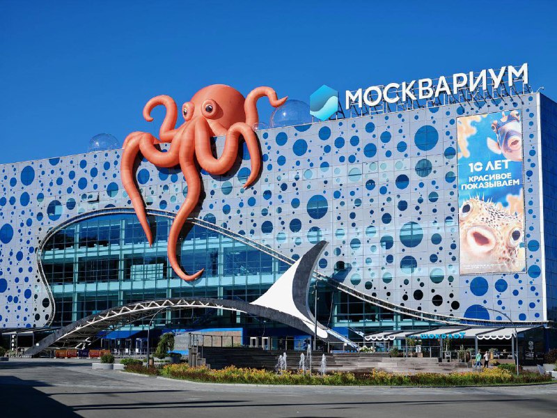 Ничего особенного, просто здание Москвариума захватил гигантский осьминог. В честь своего юбилея оке