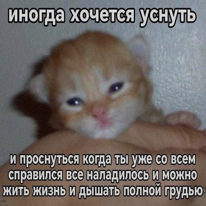 Ночная подборочка
Выходные, не спим