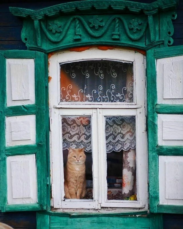 Какие же они все красивые…
Рекомендации на день 👉 max.r...