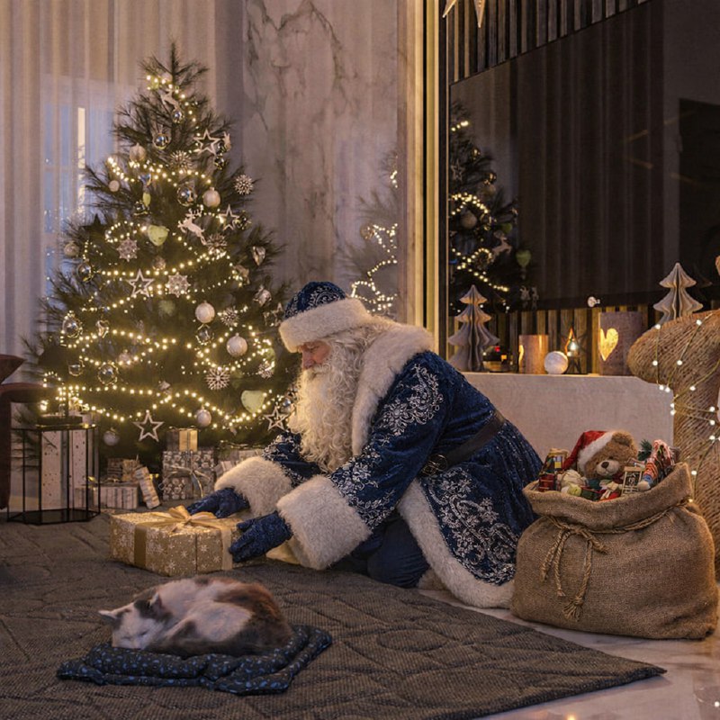 🎅 Дед Мороз приходит в гости благодаря ИИ
Удивите детей и родственников! ИИ поможет создать убедите