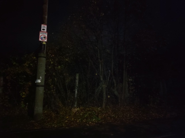 На ул. Нахимова (ориентир между 22 и 37 домом) увидели на д...