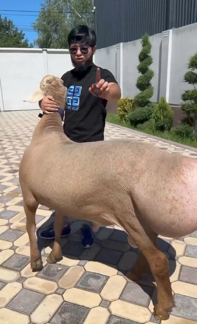 вот это цыпочка