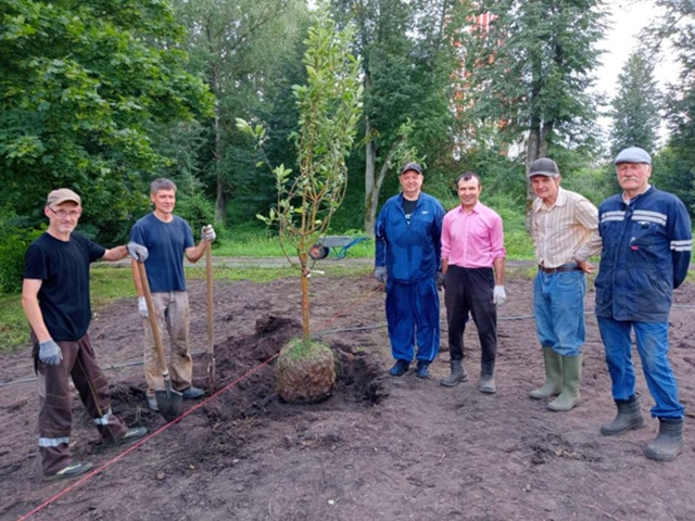 Сотрудники «Багратиона» высадили фруктовый сад у Нико...