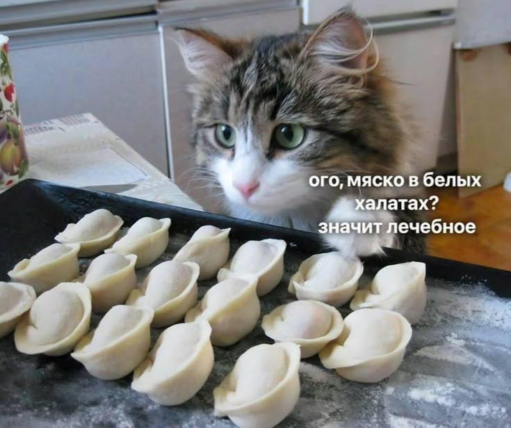 Сегодня отмечается День пельменей С едой на весь день определились