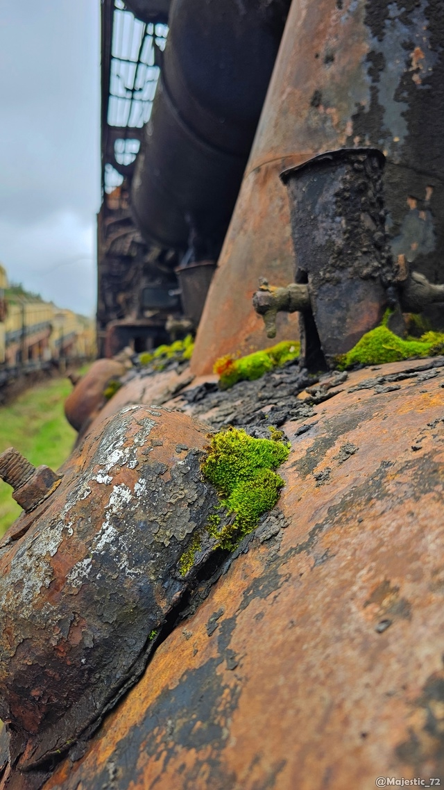 Кладбище паровозов 🚂☠
📸Владимир Каровец