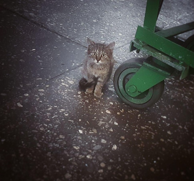 Работяги, кто из вас знает, чего это Женёчек забуксовал...