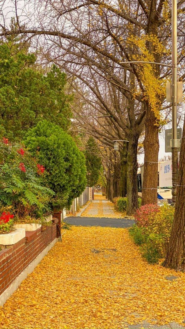 Корейские обои 🍂