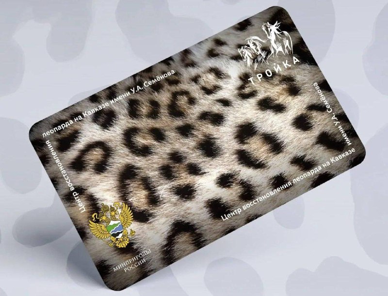🐆 Леопардовую Тройку для модников и модниц выпустили в метро
Карточку продают в интернет-магазине