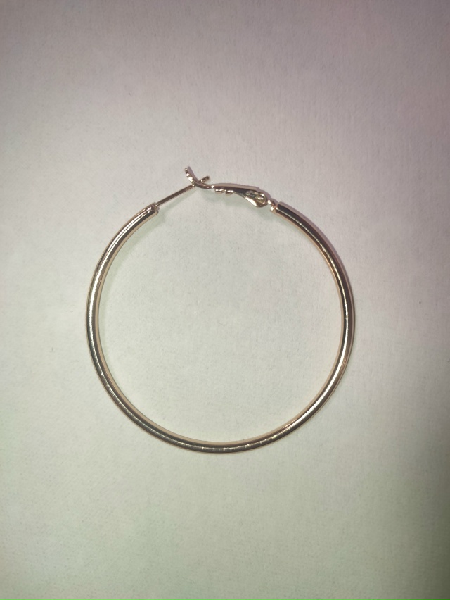 Найдена серёжка во дворе Гоголя 1б.