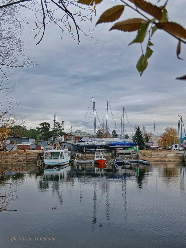 Жигулевское море.🌊🍂