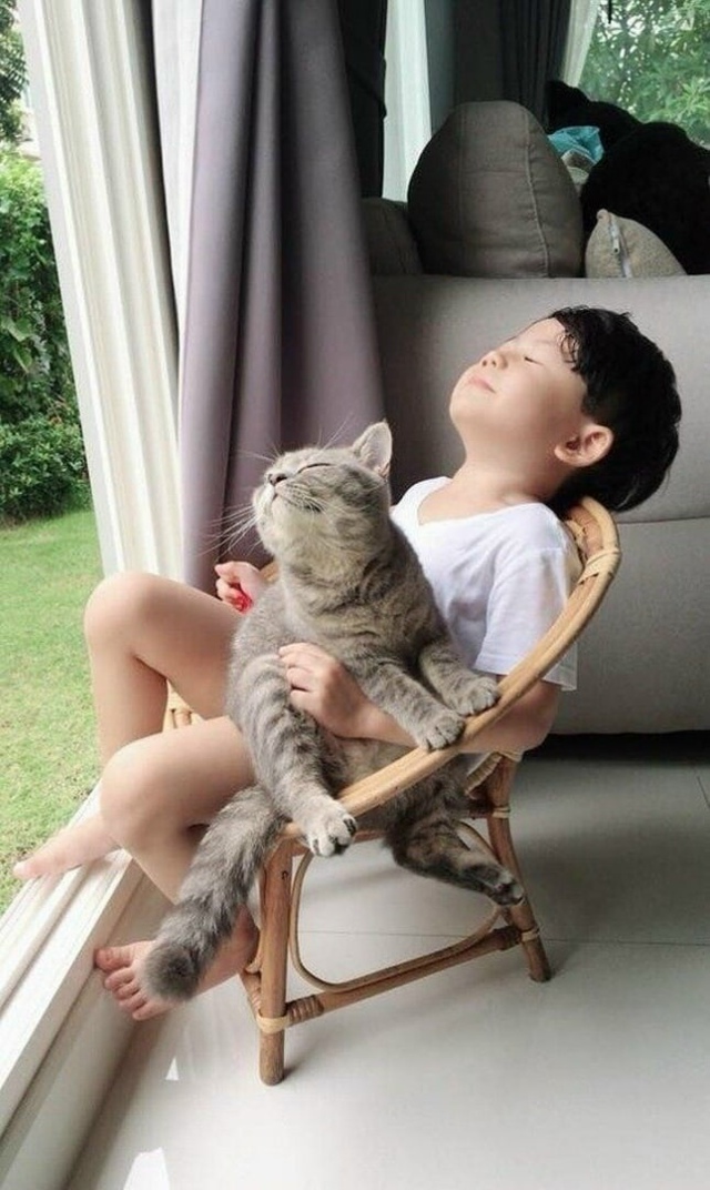 Когда жизнь удалась 😄