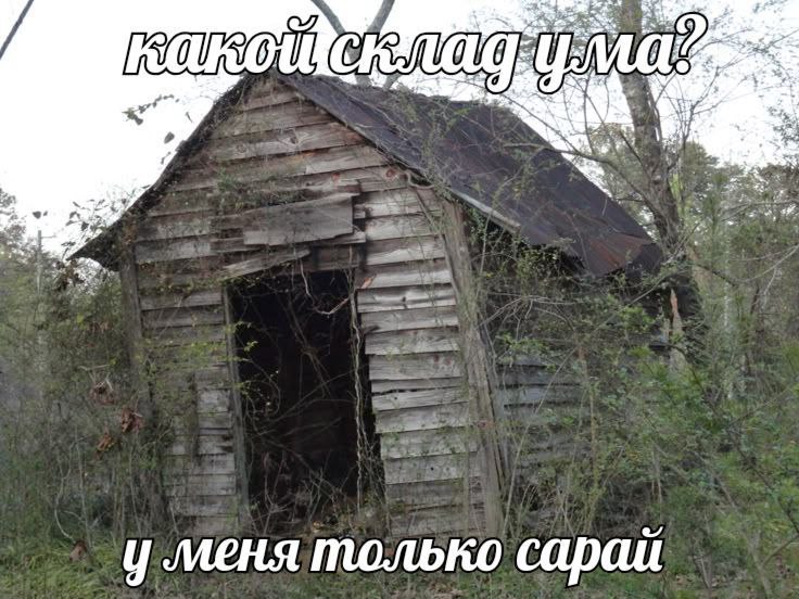 Утренняя подборочка