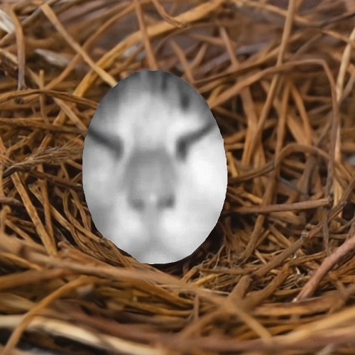 гуманои сам был яйцо всё это время жестб шок