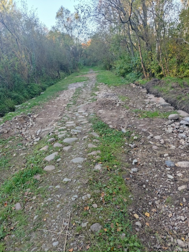 Я знаю кто это сдедал)) Живет такти страннаа семейка .!! ?...