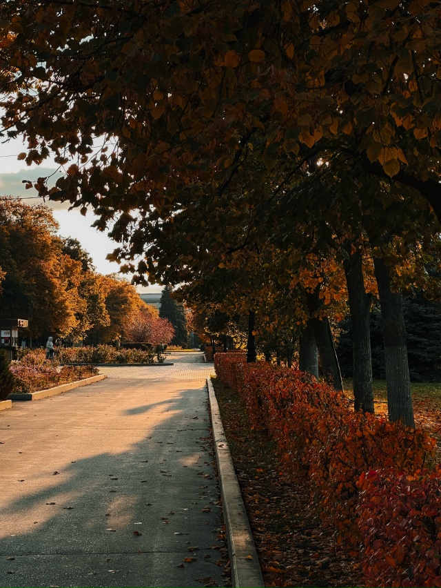 Осень на Орловской набережной Самары