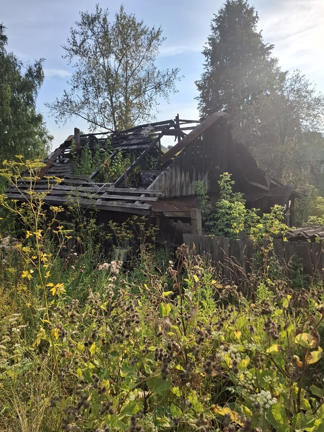 Хозяева данного участка, будьте так любезны обкосить с...