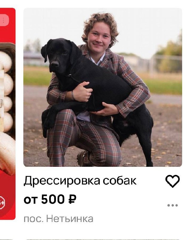 Ноткоинер тоже нашел новую работу.