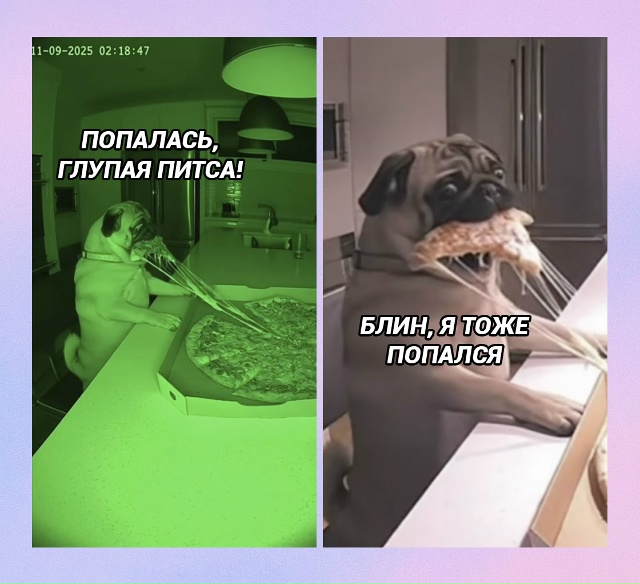 Когда тебя поймали в 2 часа ночи: