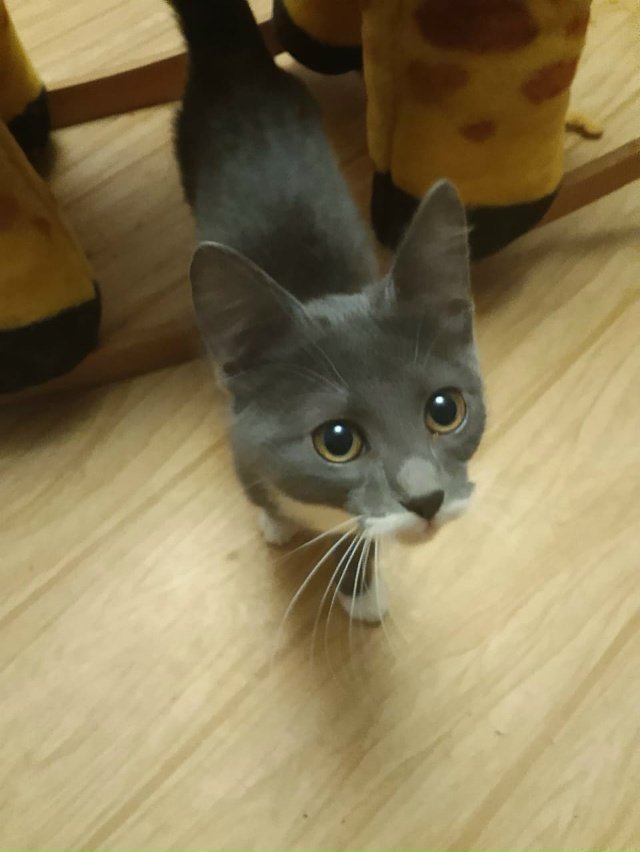 Опубликуйте, пожалуйста!
Переславль
Мурзик - маленько?...