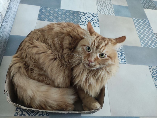 Доброго дня всем! Крик души! Хотим повтор...