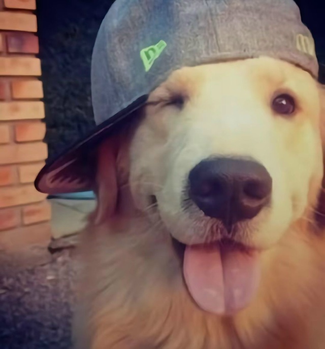 Ну и эпоха настала
***
Поразительно, в какой необычный п?...