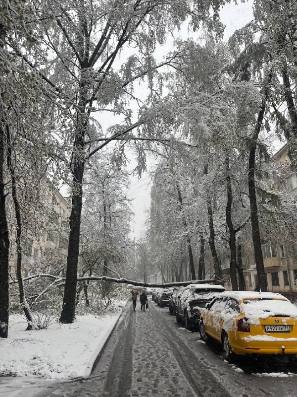 Москву и Подмосковье накрыл снежный апокалипсис — и да, сегодня 27 апреля.
Ветер разгоняется до 20