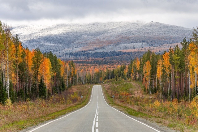 Золотая oсень и первый снег нa Северном Урале 🍁
📷 Пут?...