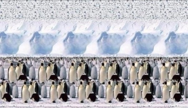 Стереограммы: тренировка для глаз ?✨
Эти загадочные ?...