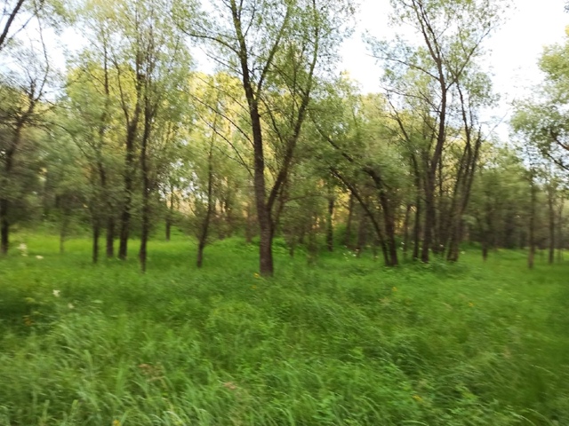 Тёплым, лeтним вeчepoм у peки.
