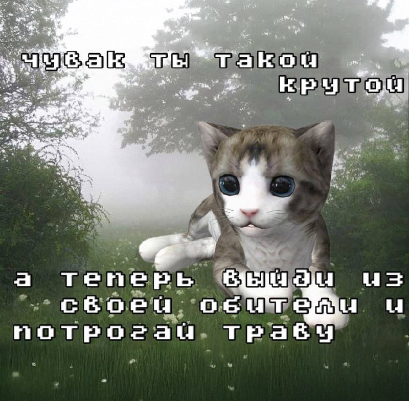 Утренняя подборочка