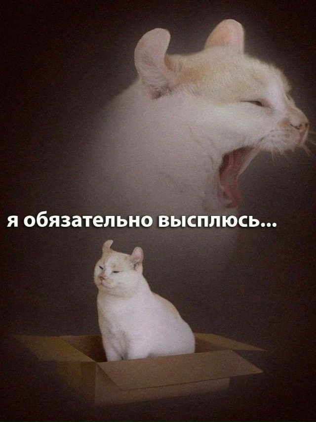 Мой настрой каждый вечер