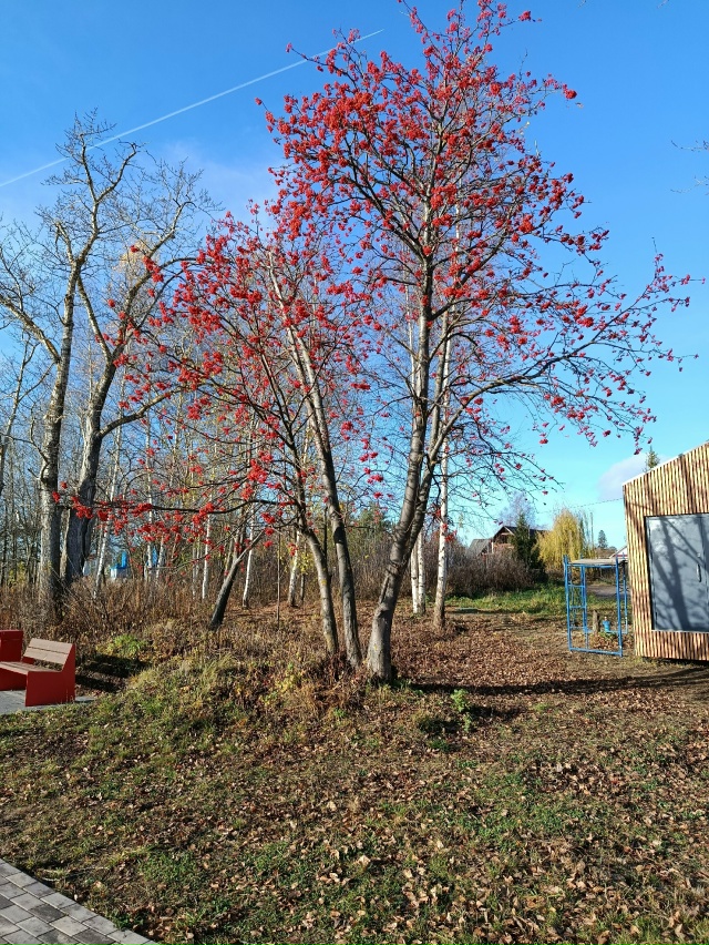 Чкаловск, солнечный день.05.11.25