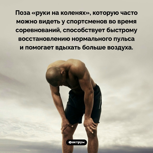 Подборка интересных фактов.