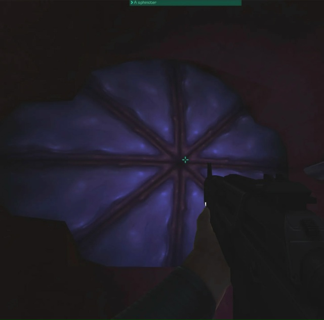 System Shock 2 сделали через жопу... в буквальном смысле
Худо?...