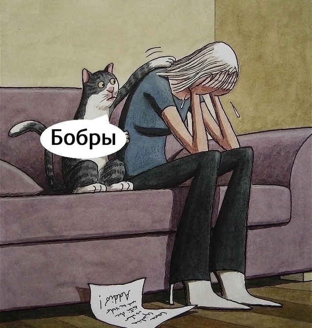 Мудрый котик)